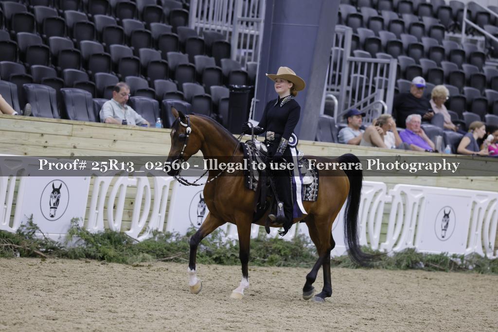 Proof Number 25R13_02560