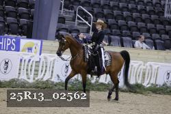 25R13_02562 thumbnail