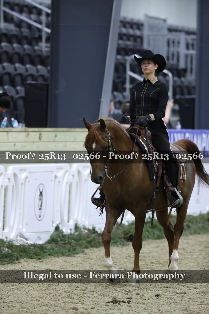 Proof Number 25R13_02566