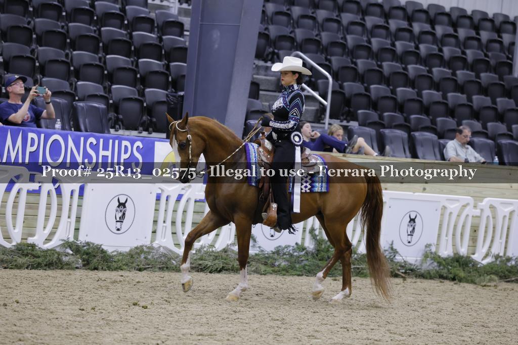 Proof Number 25R13_02575