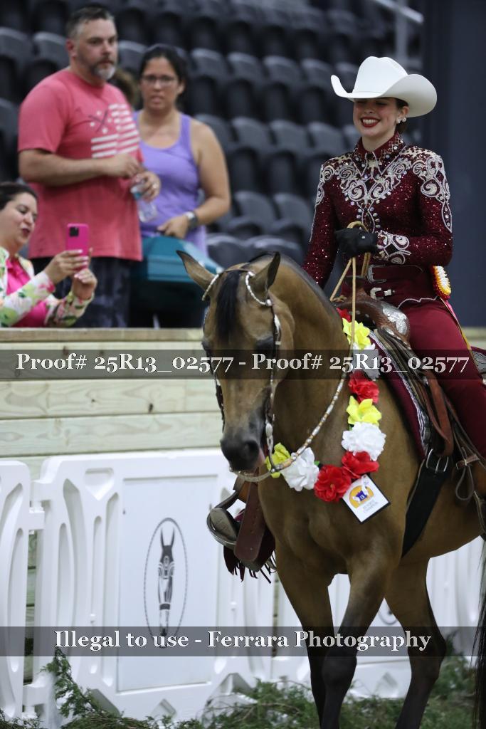 Proof Number 25R13_02577