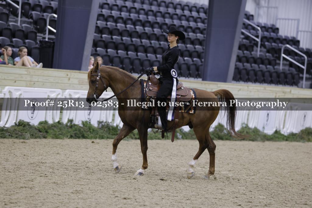 Proof Number 25R13_02583