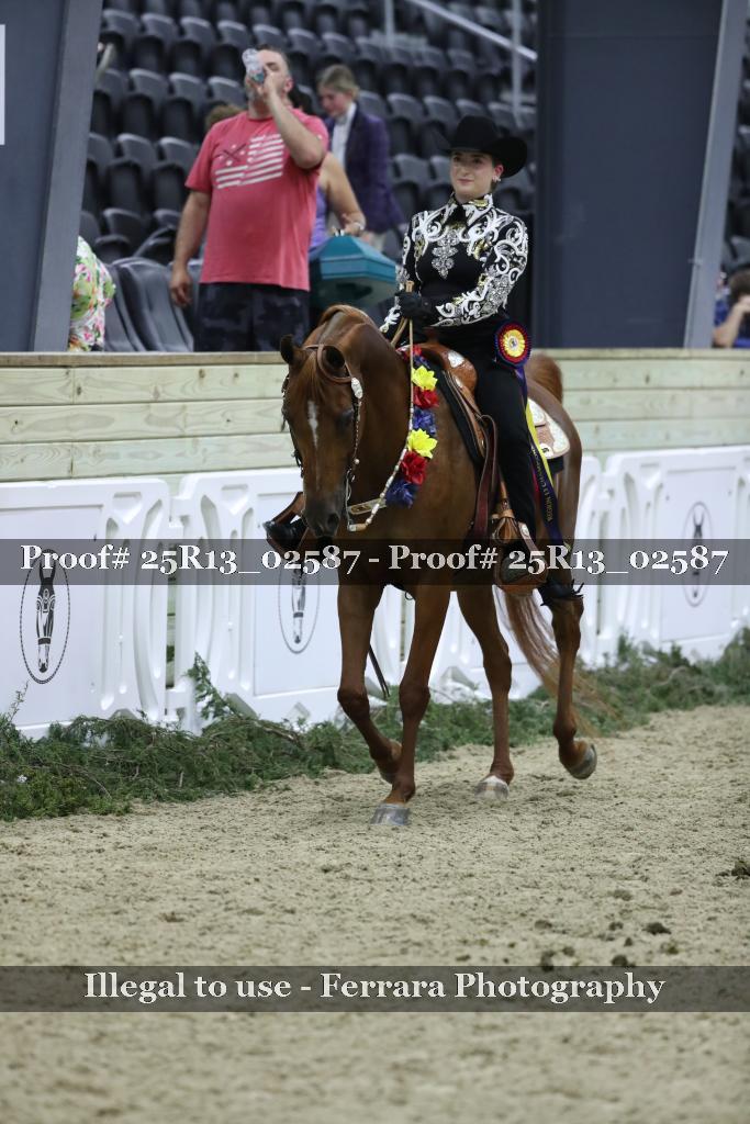 Proof Number 25R13_02587