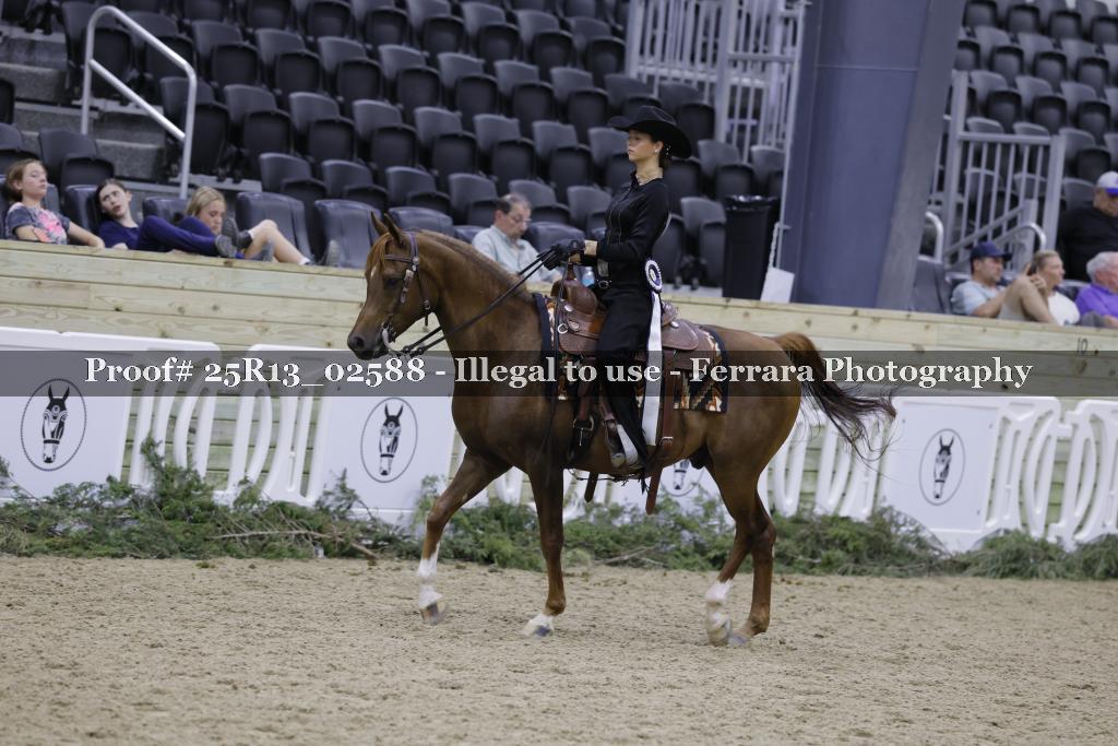 Proof Number 25R13_02588