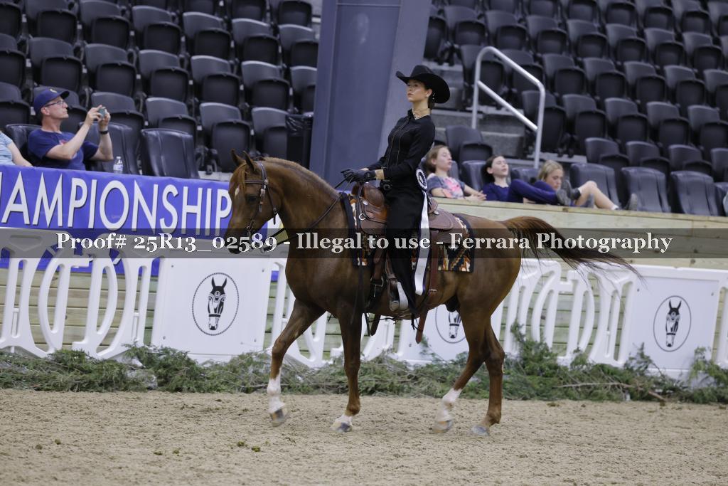 Proof Number 25R13_02589