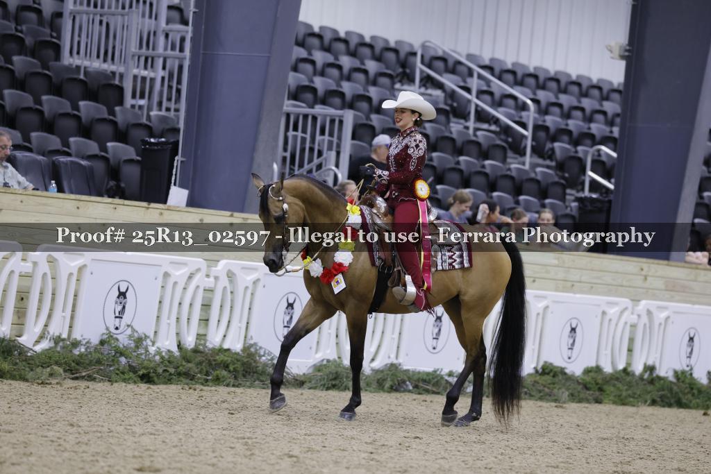 Proof Number 25R13_02597