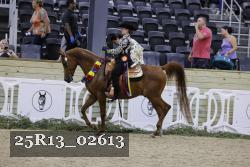 25R13_02613 thumbnail