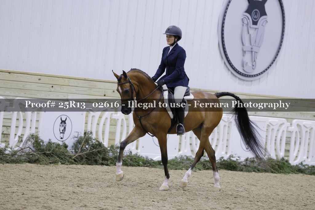 Proof Number 25R13_02616