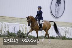 25R13_02616 thumbnail