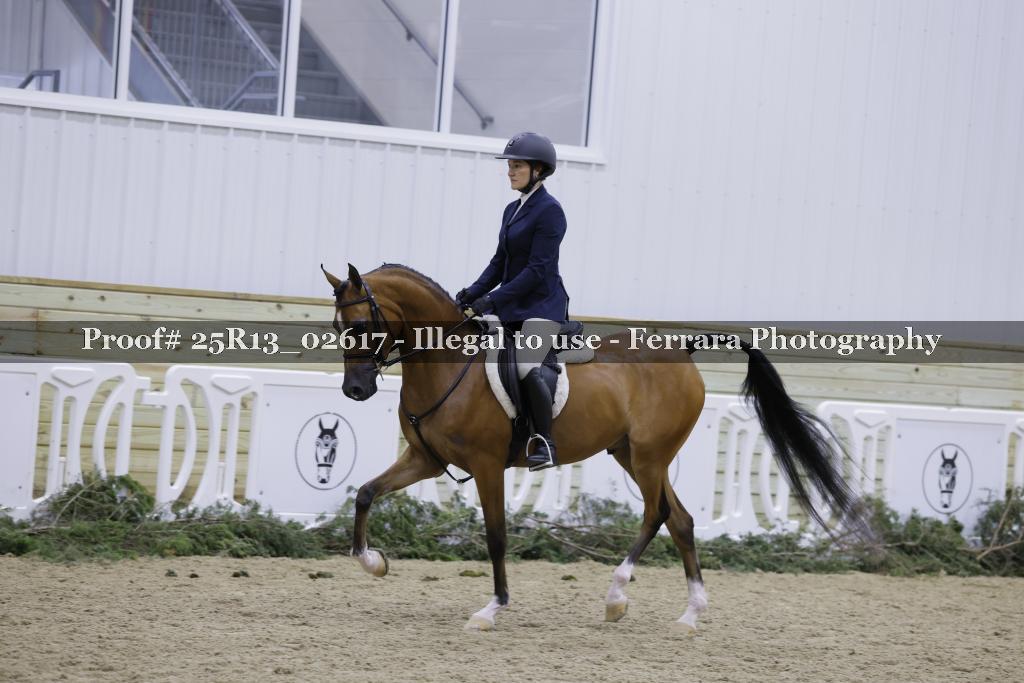 Proof Number 25R13_02617
