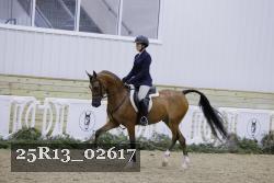 25R13_02617 thumbnail