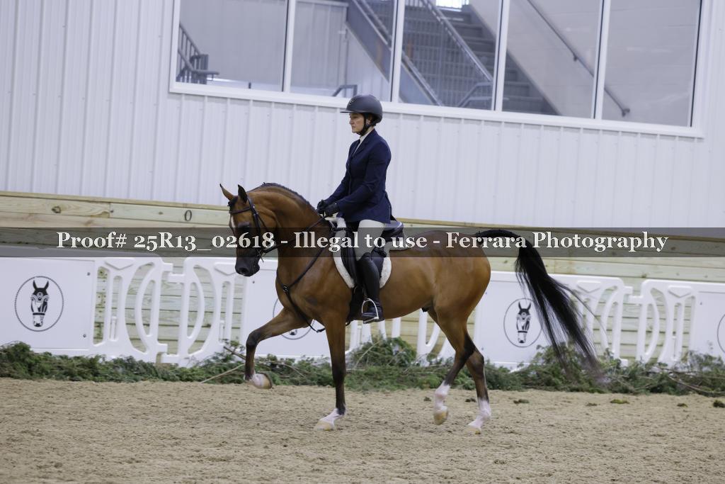 Proof Number 25R13_02618
