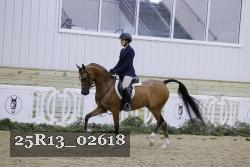 25R13_02618 thumbnail
