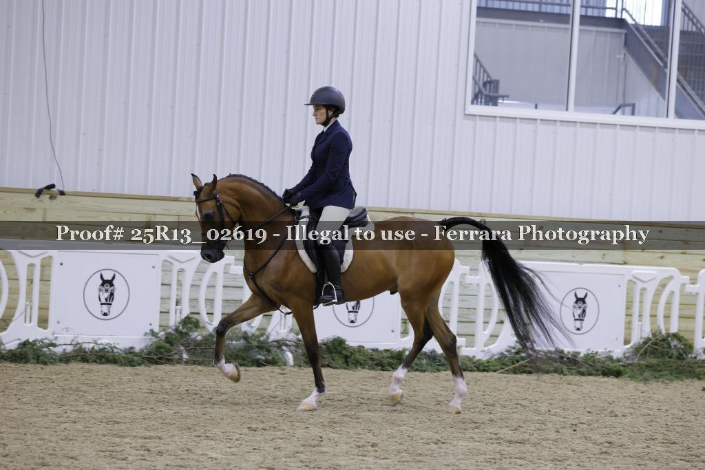 Proof Number 25R13_02619