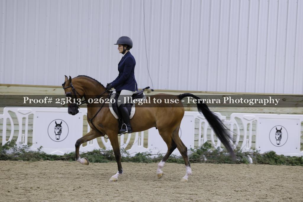 Proof Number 25R13_02620