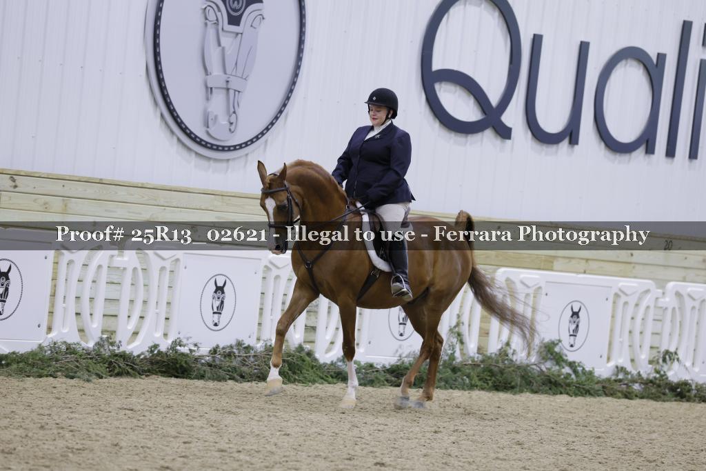 Proof Number 25R13_02621