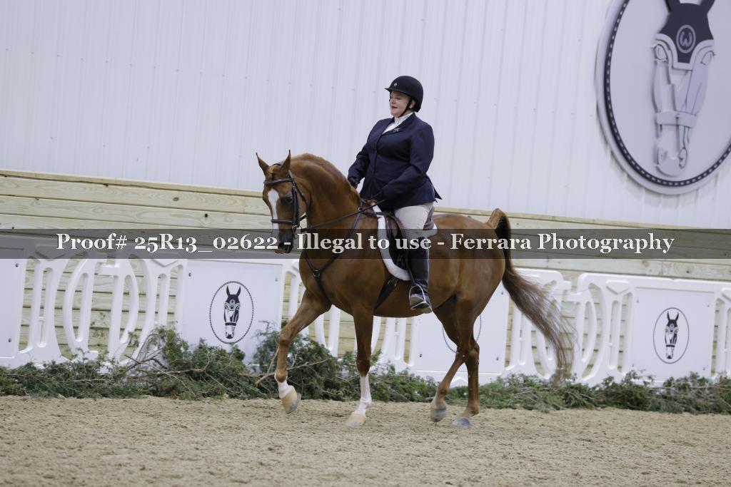 Proof Number 25R13_02622