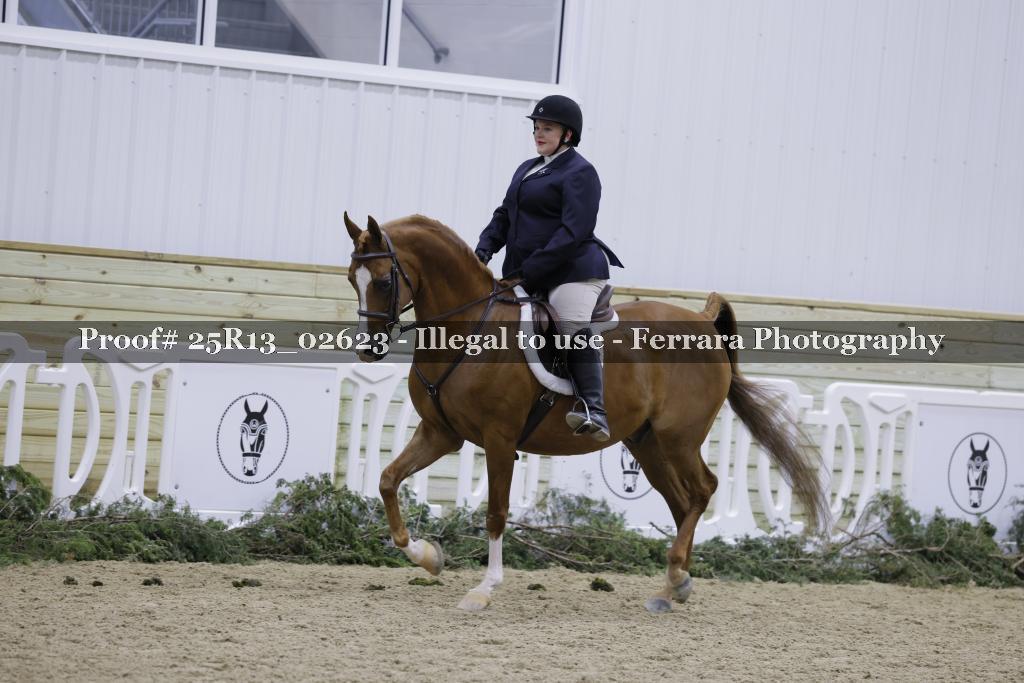Proof Number 25R13_02623