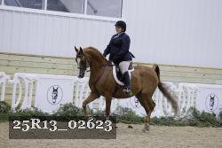 25R13_02623 thumbnail