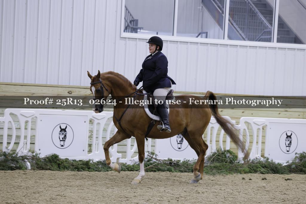 Proof Number 25R13_02624