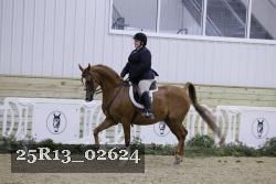 25R13_02624 thumbnail