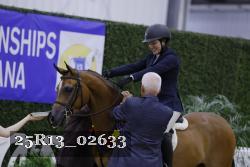 25R13_02633 thumbnail