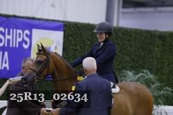 25R13_02634 thumbnail