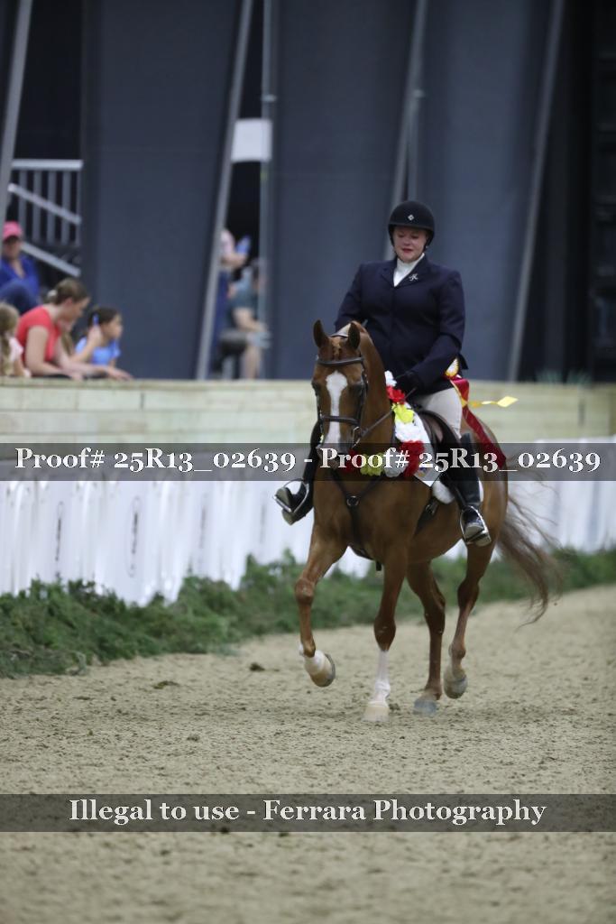 Proof Number 25R13_02639