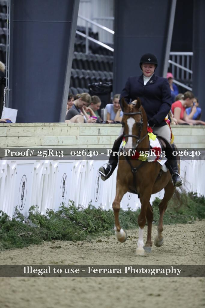 Proof Number 25R13_02640