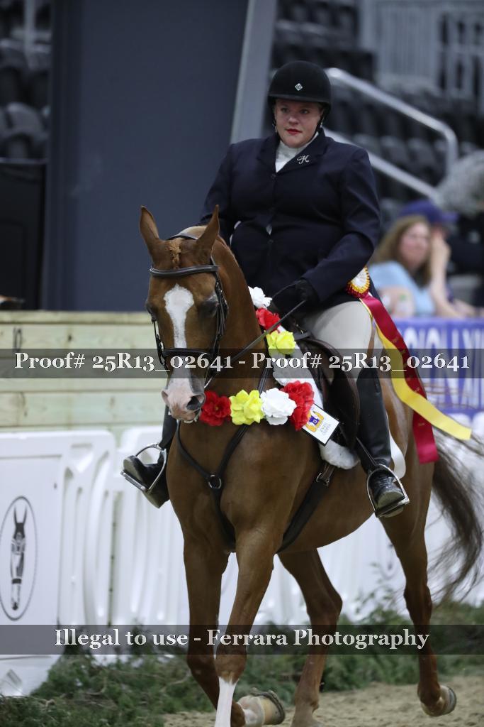 Proof Number 25R13_02641