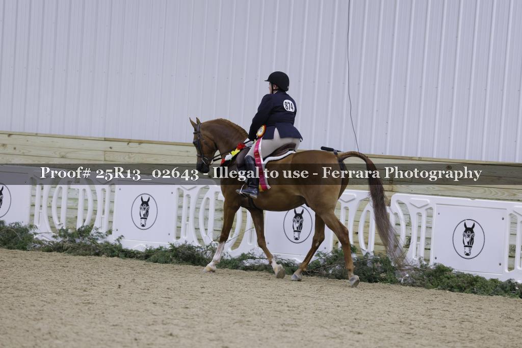 Proof Number 25R13_02643