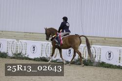 25R13_02643 thumbnail