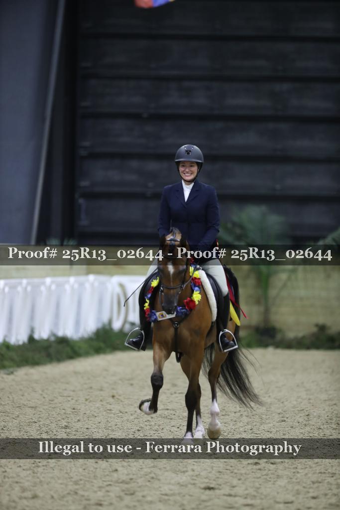 Proof Number 25R13_02644