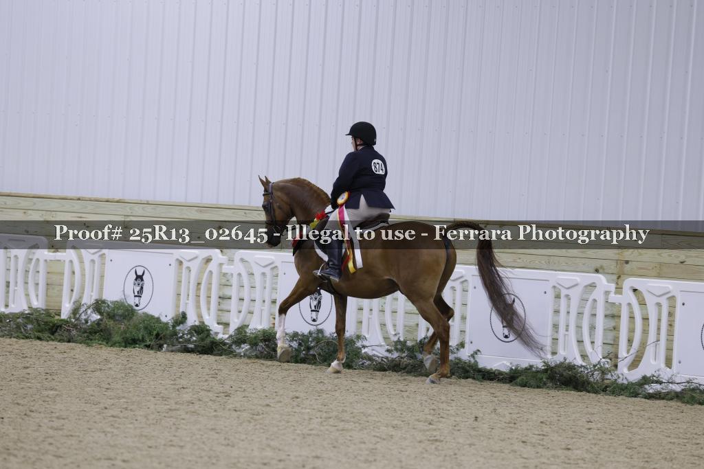 Proof Number 25R13_02645