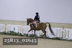 25R13_02645 thumbnail