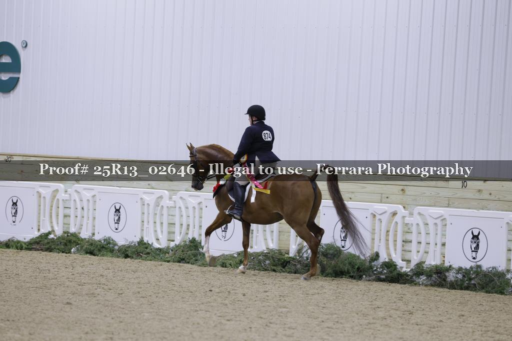 Proof Number 25R13_02646