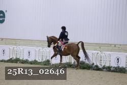 25R13_02646 thumbnail