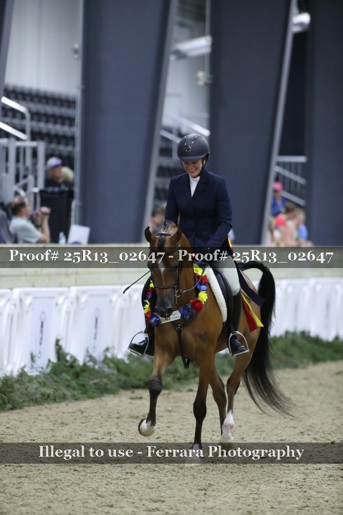 Proof Number 25R13_02647