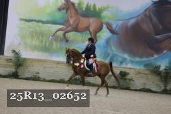 25R13_02652 thumbnail