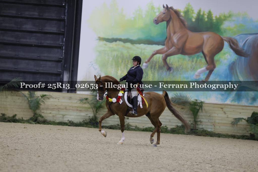 Proof Number 25R13_02653