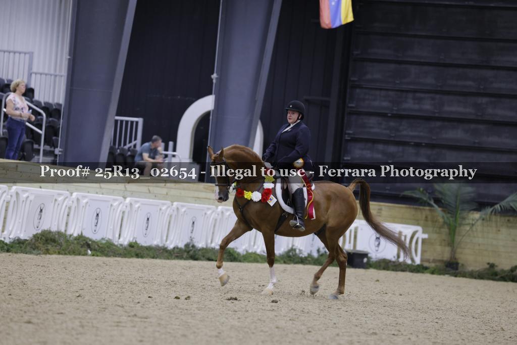 Proof Number 25R13_02654