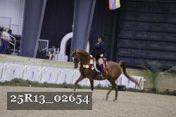 25R13_02654 thumbnail