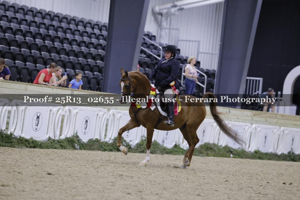 Proof Number 25R13_02655