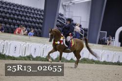 25R13_02655 thumbnail