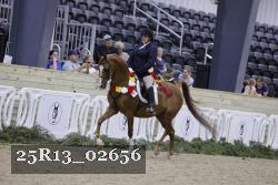 25R13_02656 thumbnail
