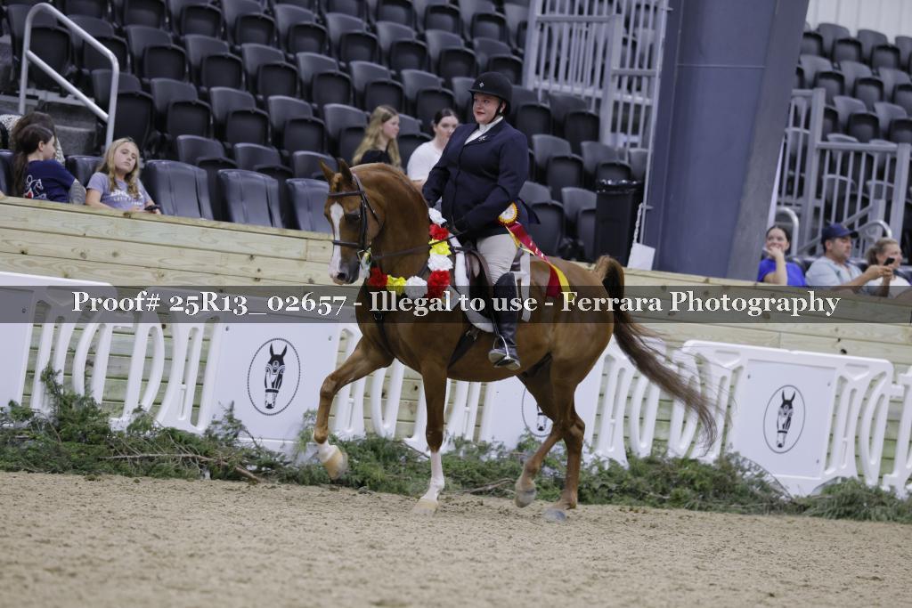Proof Number 25R13_02657