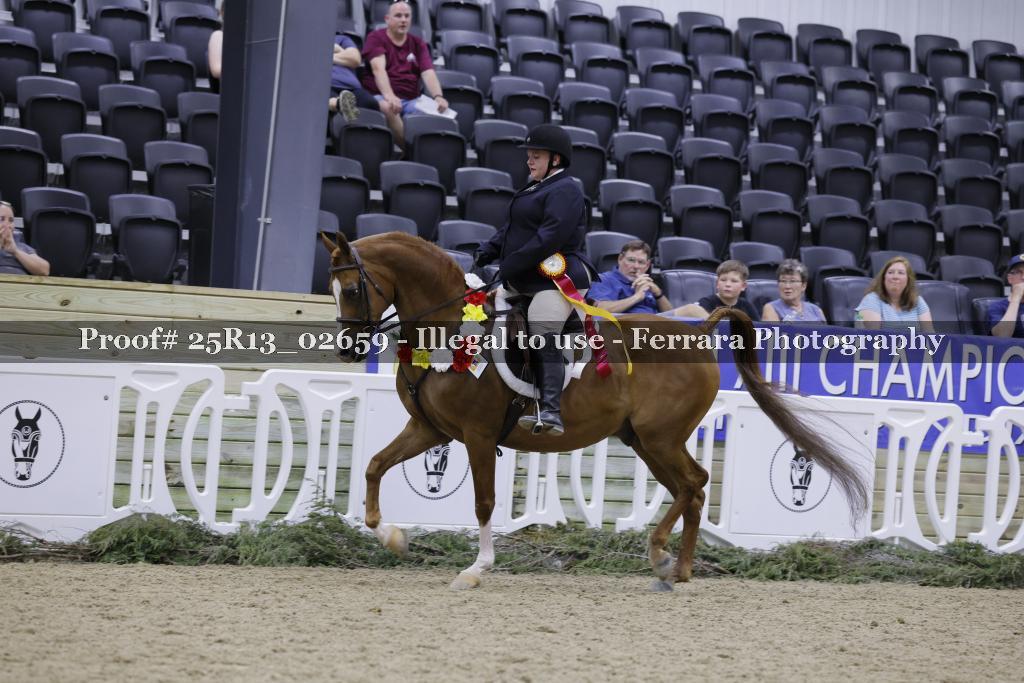 Proof Number 25R13_02659