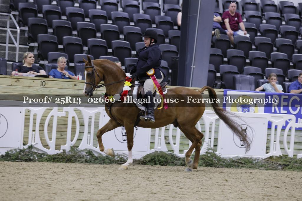 Proof Number 25R13_02660