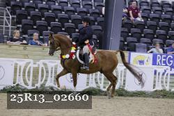 25R13_02660 thumbnail