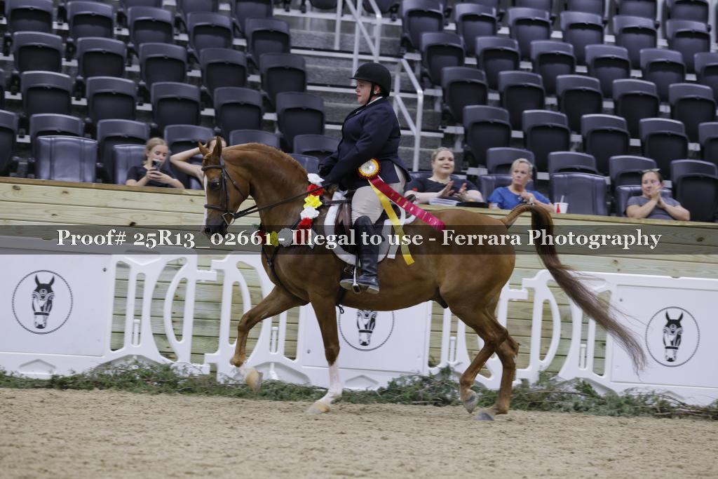 Proof Number 25R13_02661